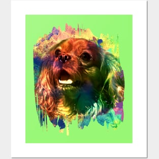 Cavalier King Charles Spaniel Posters and Art